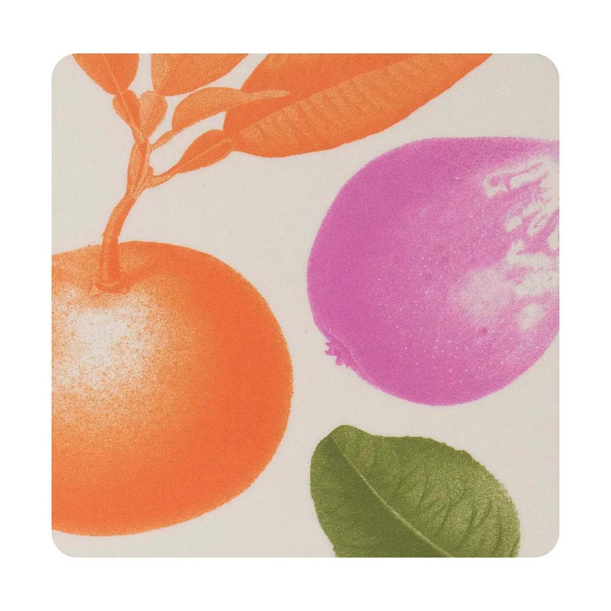 'Arriere Pays' Coasters (Set of 4)