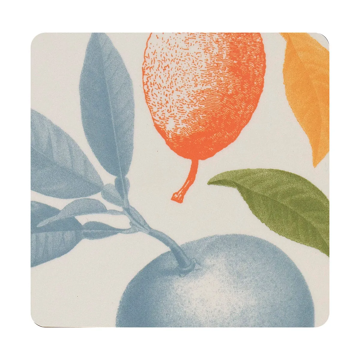 'Arriere Pays' Coasters (Set of 4)