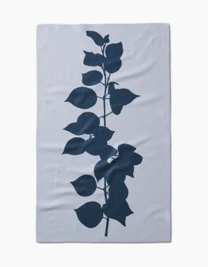 Birch